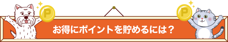 お得にポイントを貯めるには?