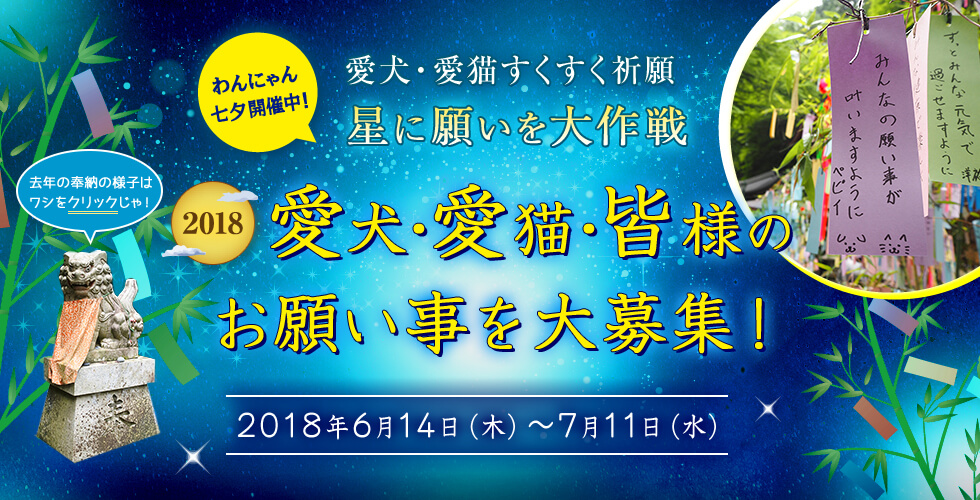 わんにゃんセタ開催中！ 愛犬・愛猫すくすく祈願 【星に願いを大作戦】2018｜ 愛犬・愛猫・皆様のお願い事を大募集!2018年6月14日(木)~7月11日(水)