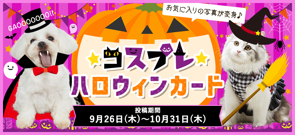うちの子の写真が変身♪ハロウィンカードを作ろう!