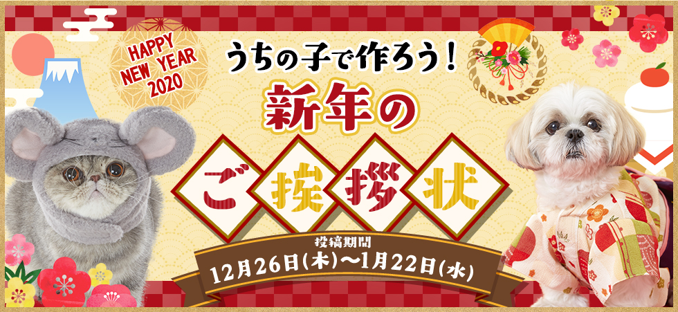 うちの子で作ろう!新年のご挨拶状