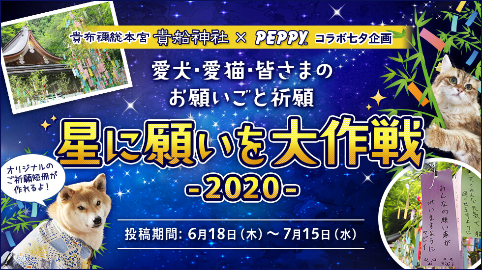 星に願いを大作戦2020