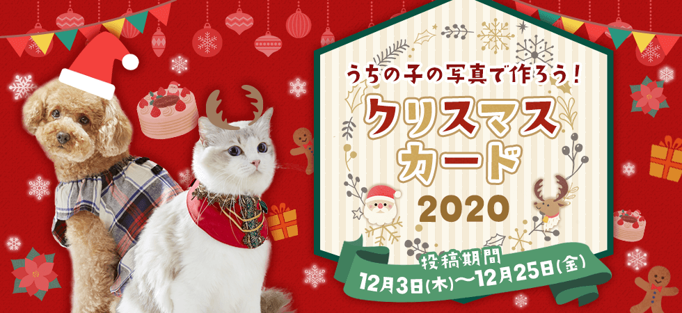 うちの子の写真で作ろう!クリスマスカード2020