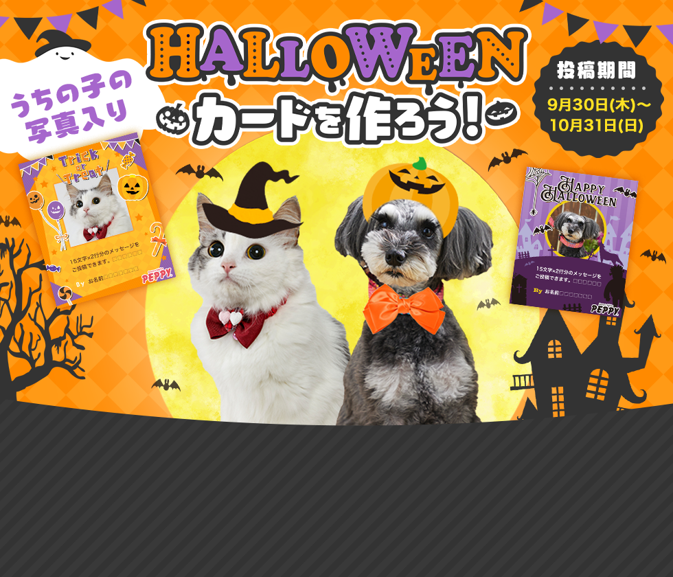 お気に入りの写真で作ろう♪ハロウィンカード