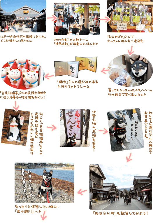 ぶらり旅びより Vol 1 ペット用品通販 ペピイ