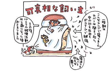 かむかむエブリディの巻 ペット用品の通販サイト ペピイ Peppy