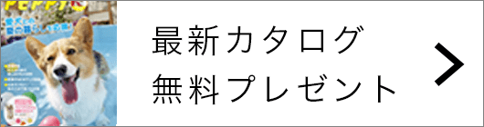 はじめまして きゅうちゃんです ペット用品の通販サイト ペピイ Peppy