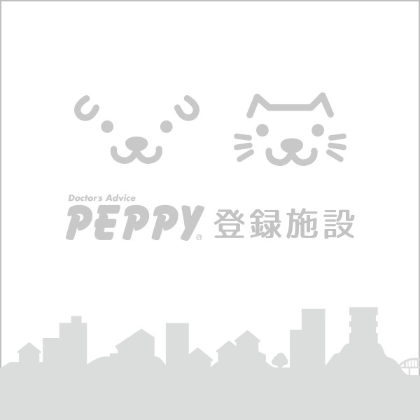 ピッコロ動物病院 ペット用品の通販サイト ペピイ Peppy