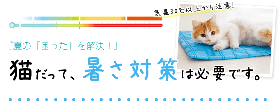 夏の 困った を解決 猫だって 暑さ対策は対策は必要です ペット用品の通販サイト ペピイ Peppy