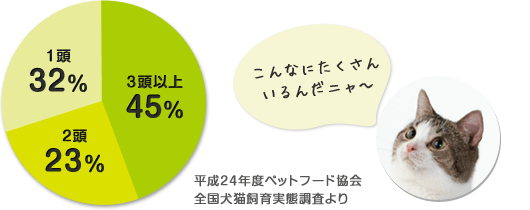 気になる多頭飼い大調査 みんなで仲良く暮らすには