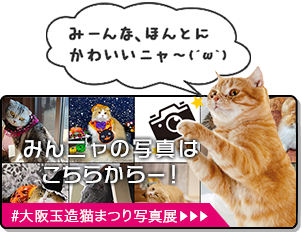 大阪玉造猫まつり写真展 ペット用品の通販サイト ペピイ Peppy