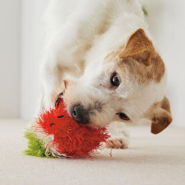 オーマロー 犬用おもちゃ ペット用品の通販サイト ペピイ Peppy