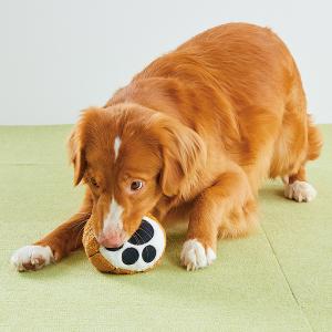 ＜ペピイ＞ ランコ ボールシリーズ （天然ゴム製の犬用おもちゃ） サッカー・Ｓ