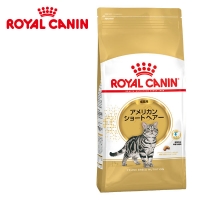 ロイヤルカナン アメリカンショートヘアー（キャットフード）