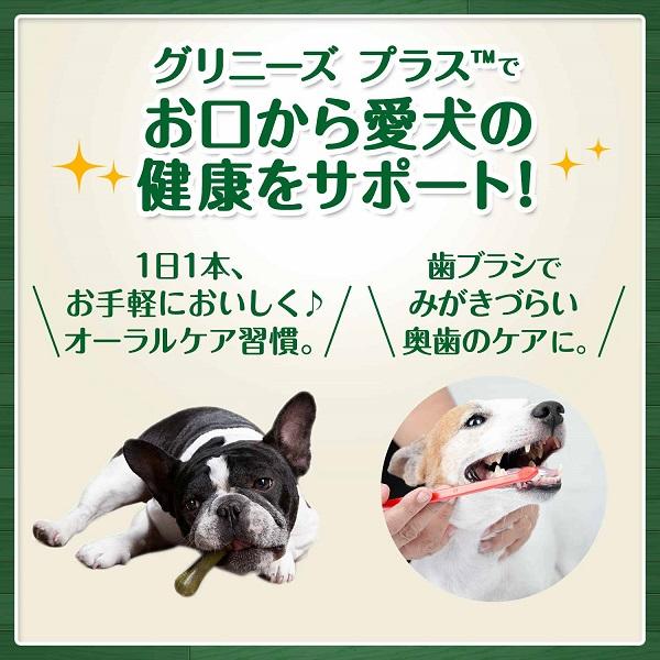 グリニーズプラス 口臭ケア フレッシュミント入り 正規品 犬用おやつ 犬用おやつ ペット用品の通販サイト ペピイ Peppy