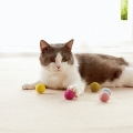 コロコロボール(キャットニップ付)