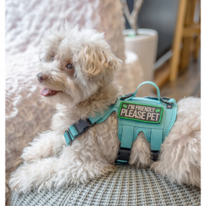 jhknmhmdqiLiCi[j}uClRan[lX ThR[eEwr