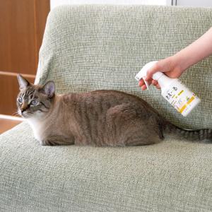 お風呂が苦手な子にもおすすめ