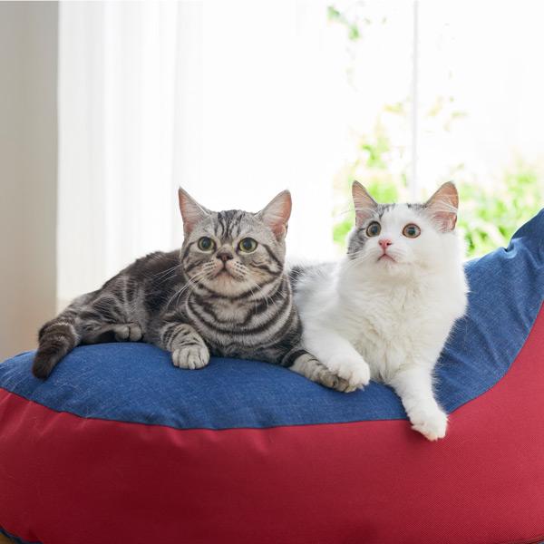 ｓｉｐｐｏｌｅ にゃんこビーズクッション 猫用ベッド ペット用品の通販サイト ペピイ Peppy