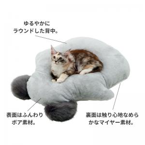 こあらさん/モデル体重:3.3kg