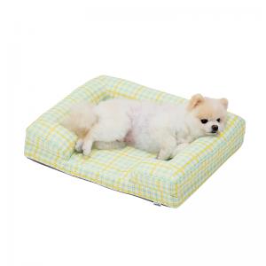 SS・イエローチェック・モデル体重3.2kg