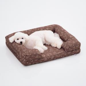 SS・チョコ・モデル体重2.5kg