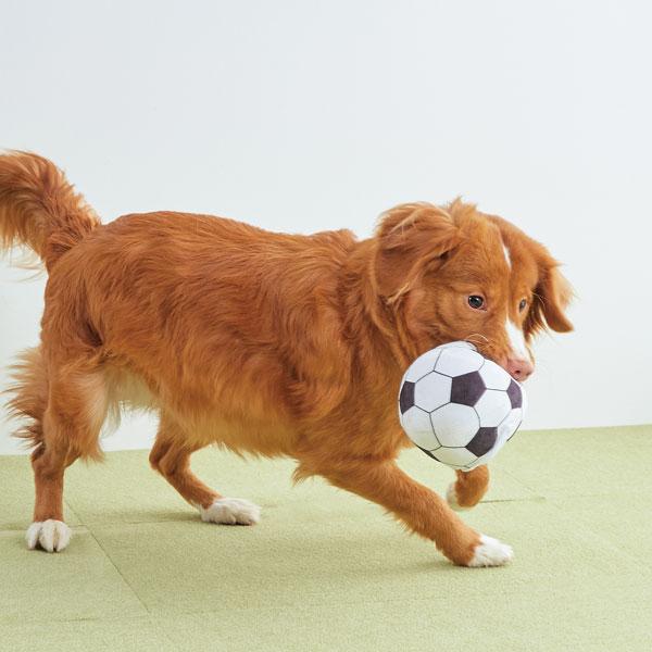 ジャンピングボール 犬用おもちゃ ペット用品の通販サイト ペピイ Peppy
