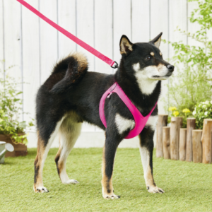 BBスポーツハーネス ブラック・2.5号 BBスポーツハーネス ブラック・2.5号