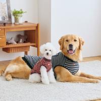 【WHCY（ウォームハートカンパニー）】リッチウォームボーダーＴシャツ