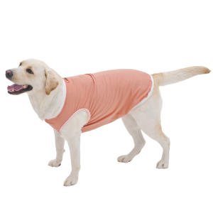 yWHCYiEH[n[gJpj[jzChI[KjbNsVc AvRbgEl