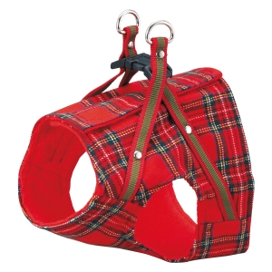 タータンレッド