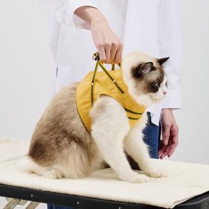 デニムイエロー/診察時の保定にも便利なハンドル付き。