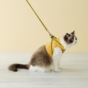 デニムイエロー