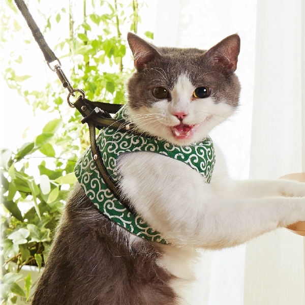 ハンドルベスト 猫用ハーネス 猫用ウェア ペット用品の通販サイト ペピイ Peppy
