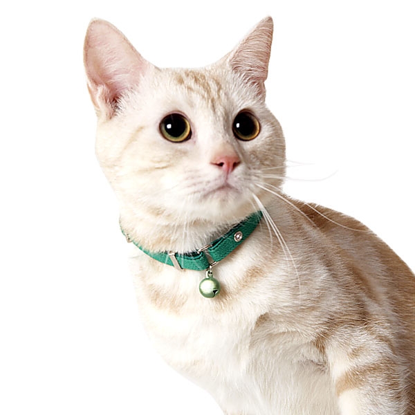 ヴィヴィッドエスケープキャットカラー 猫用首輪 ペット用品の通販サイト ペピイ Peppy