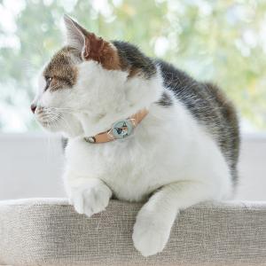 ǭ�郎���٤륢������»һ� �饰�ɡ��롦��