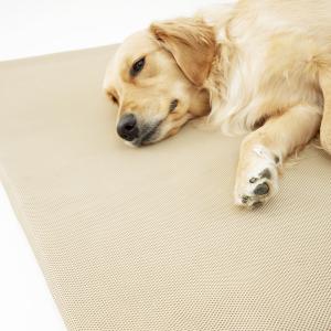 本体は、通気性のよいメッシュ生地に包まれています。