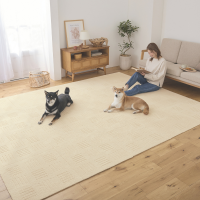 ピタプラス・ブリック 60×60