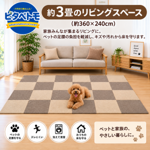 24枚使用