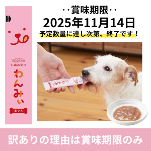 �ӣ������ ���ߤ� �ޤ����������� ��̣���£�������ǯ���������������