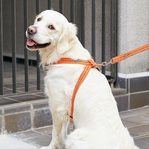 ハーネス 抜けにくい 脱げにくい 犬用品 ペット用品の通販サイト ペピイ Peppy