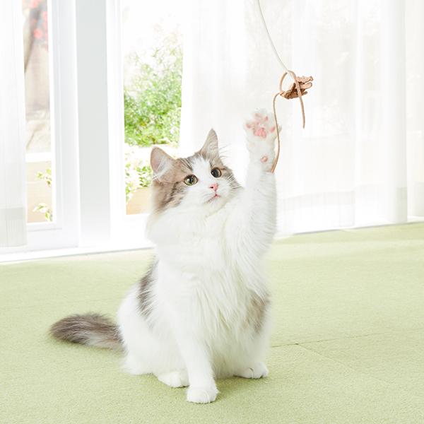 革いー 猫じゃらし 猫用おもちゃ ペット用品の通販サイト ペピイ Peppy