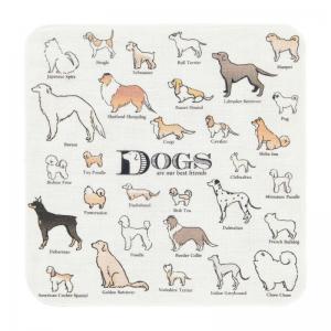 薄手でポケットに入れやすい