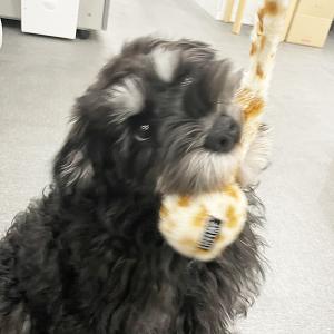 ちゃんと持っててね!