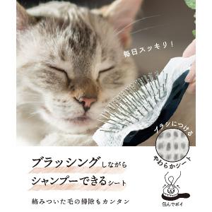 ＜ペピイ＞ ブラシにつけるシャンプーシート 猫用（無香料）画像