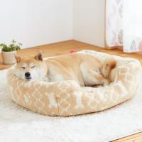 オーガニックコットンスクエアベッド