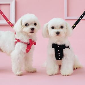 BIRDIEio[fBj o[n[lX O[Er