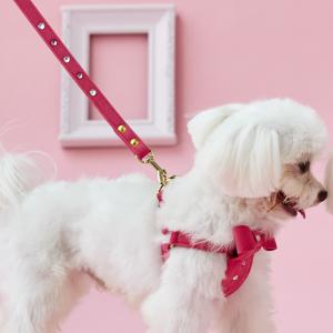 BIRDIEio[fBjo[[h ubN