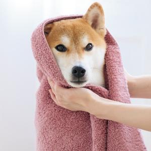 綿100%のふわさらドライタオル ライトグレー 綿100%のふわさらドライタオル ライトグレー