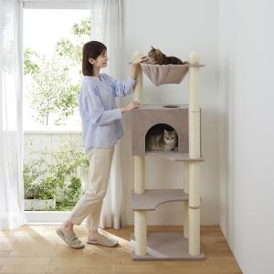 ��ä���ϥ��å�����ॿ��ʹ⤵155cm �����֤��� ����� �ϥ����� �ؤ��졦�ؤ��죱�ܡʶ��̡�