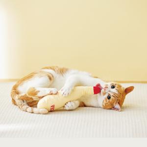 けりマヨ けりマヨ